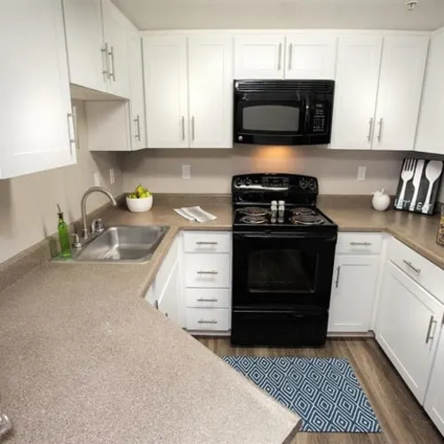 Kitchen with white cabinets, black stove and microwave in a student apartment