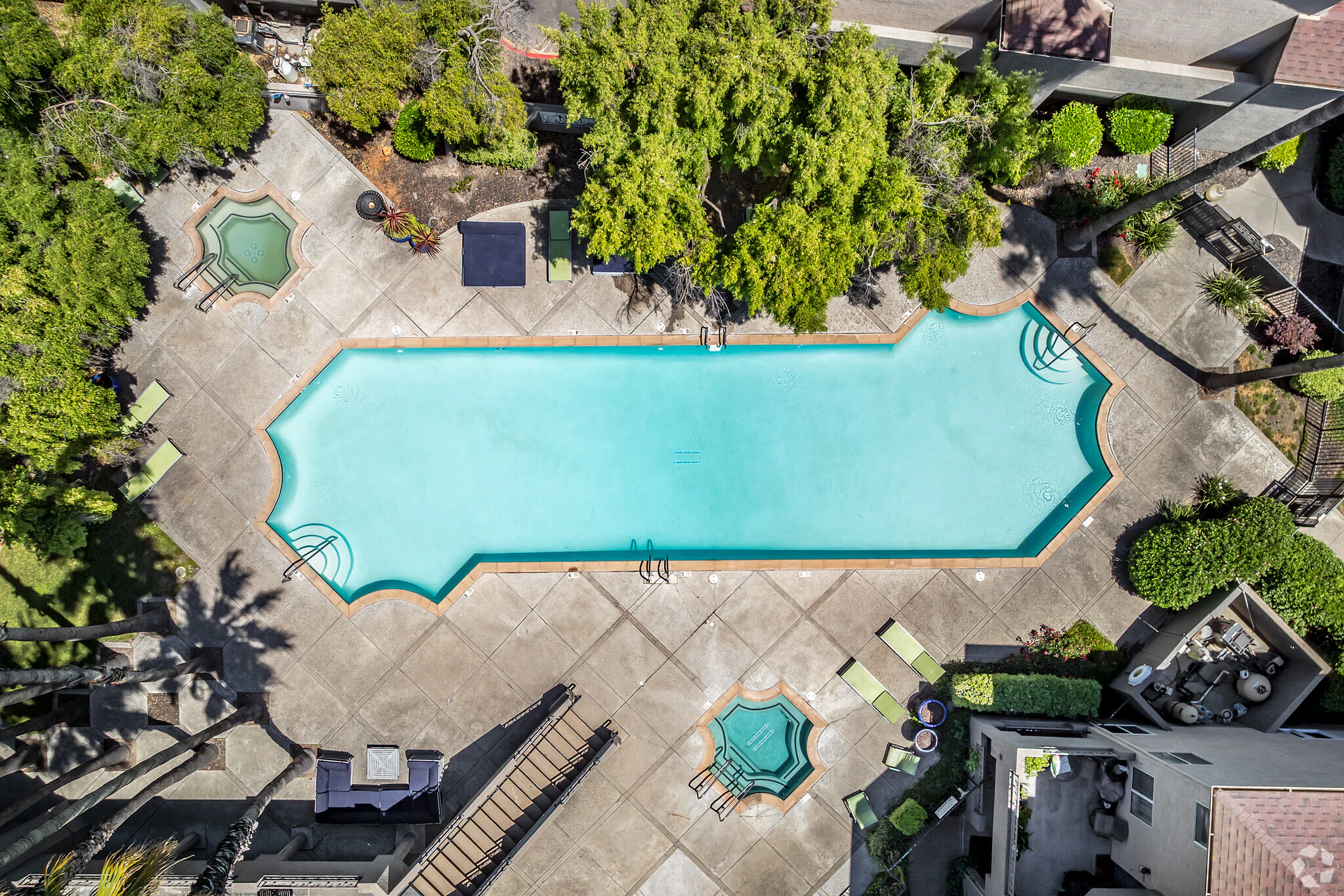 Aerial view of the swimming pool and surrounding lounge chairs