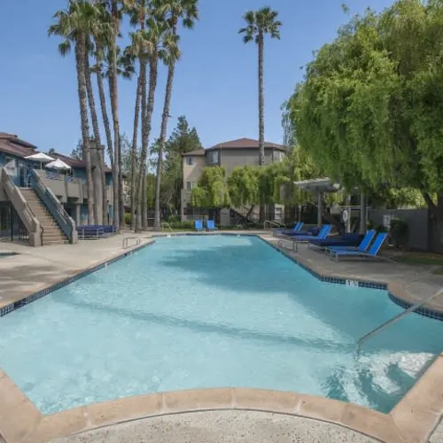 Resort-style community pool with lounge chairs and palm trees at a student apartment complex